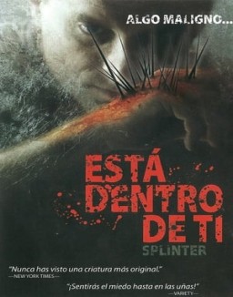 Splinter