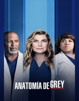 Anatomía de Grey