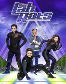 Lab Rats